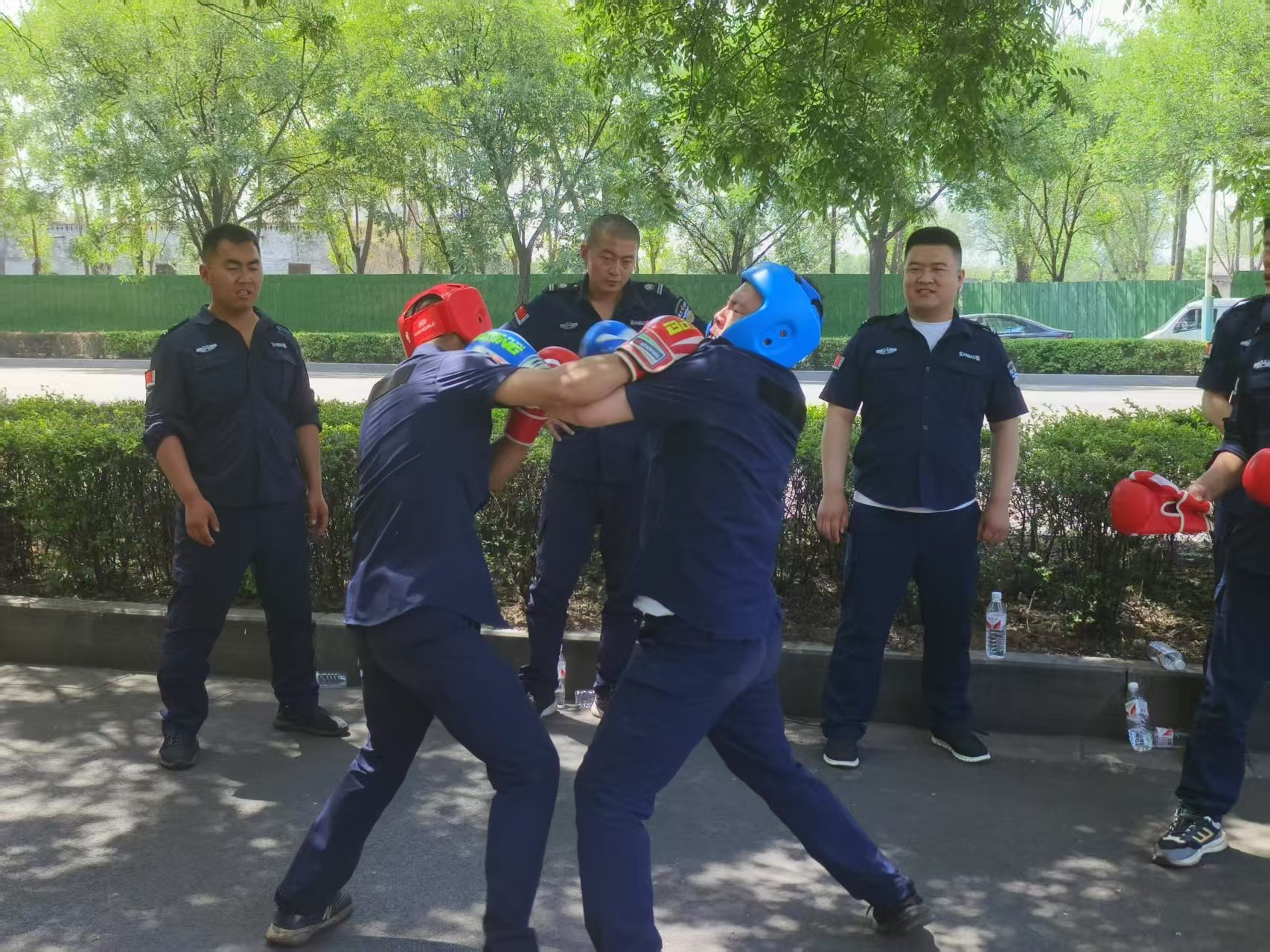 �����¾���|2025��Ȱ�������ѡ��Բ���չ�